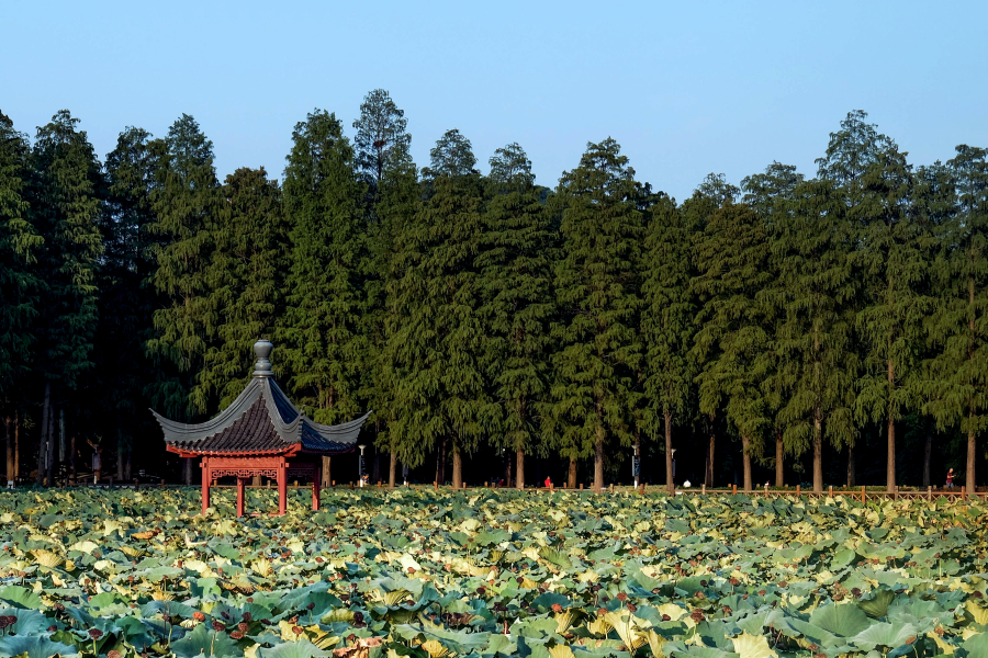 东湖生态旅游风景区